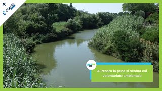 A Pesaro si sconta la pena col volontariato ambientale | SPECIALE