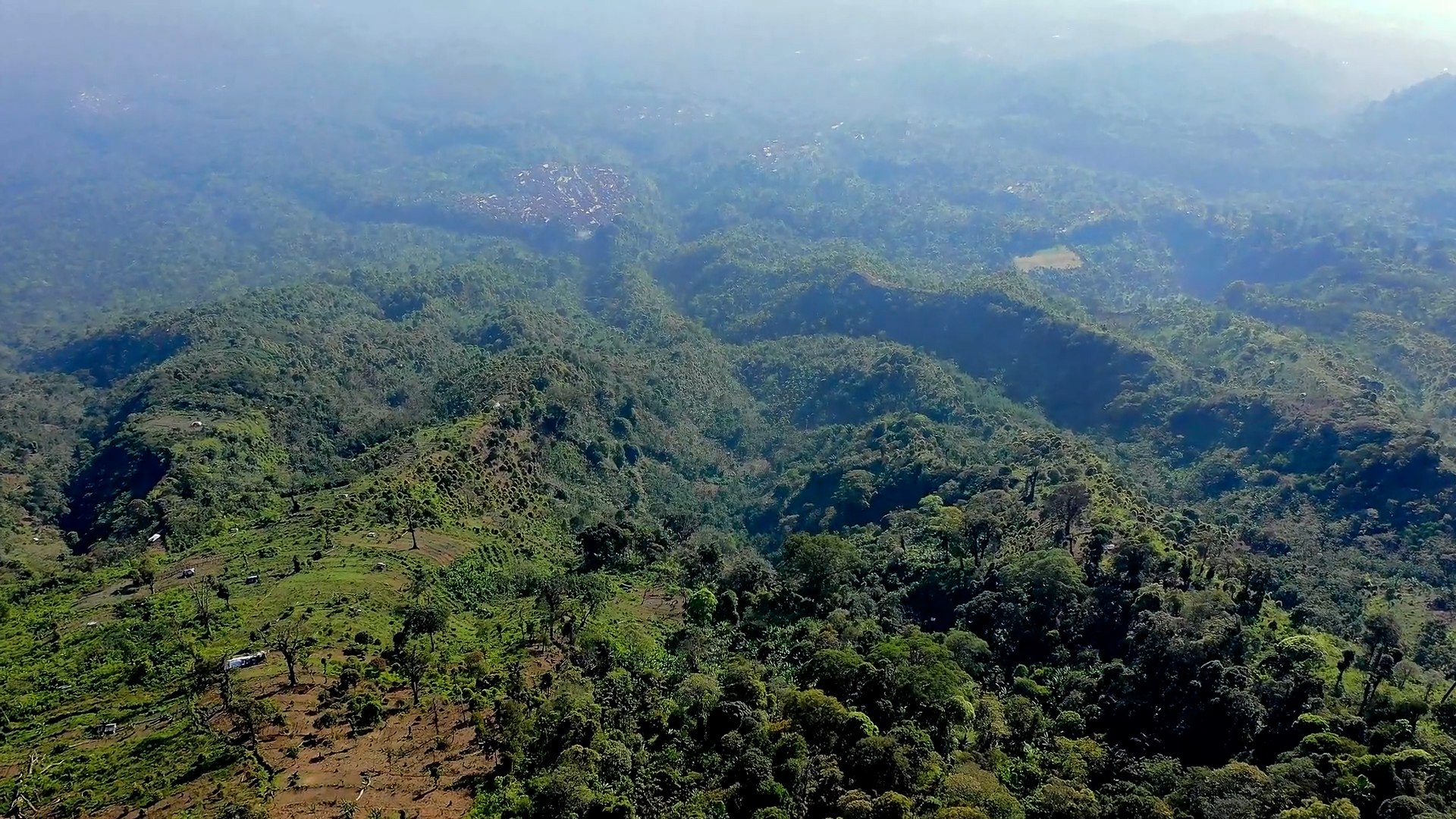 Forte deforestazione in Amazzonia
