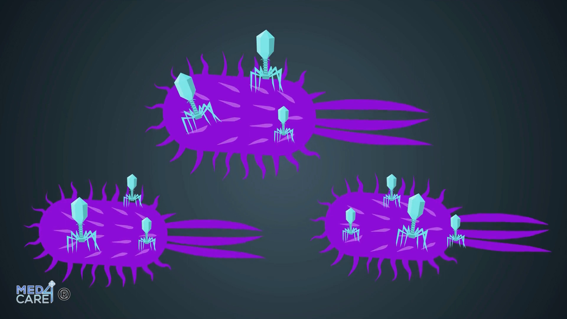 I virus che infettano i batteri alle più alte profondità marine